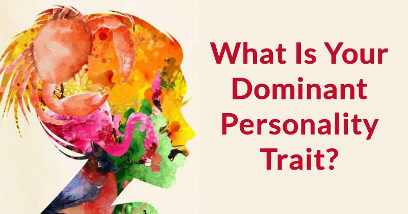 what is a dominant personality type